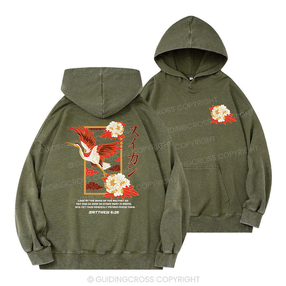 Look At The Birds Christian Washed Hoodie