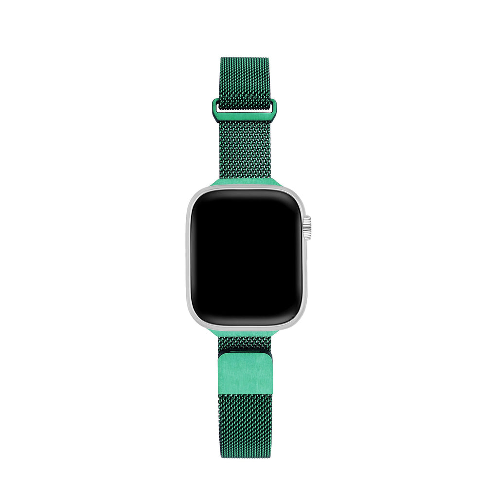 Sleek Magnetic Watch Band