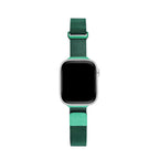 Sleek Magnetic Watch Band