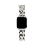 Mesh Chain Stainless Steel Watch Band