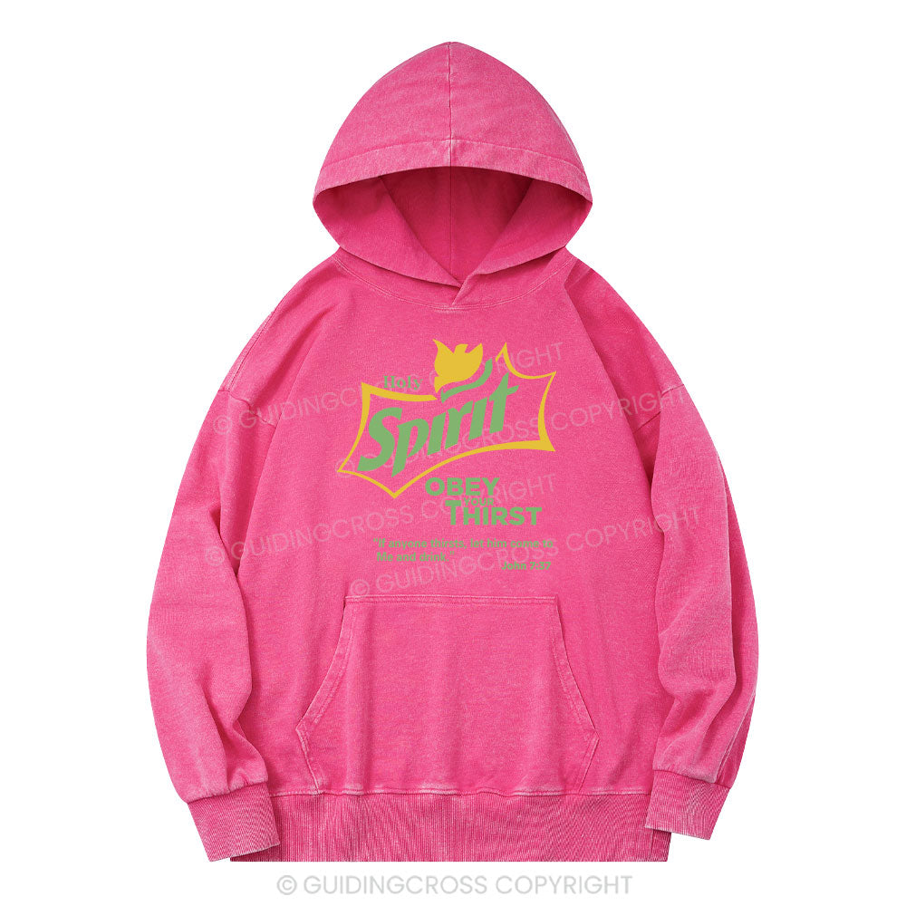 Holy Spirit Christian Washed Hoodie