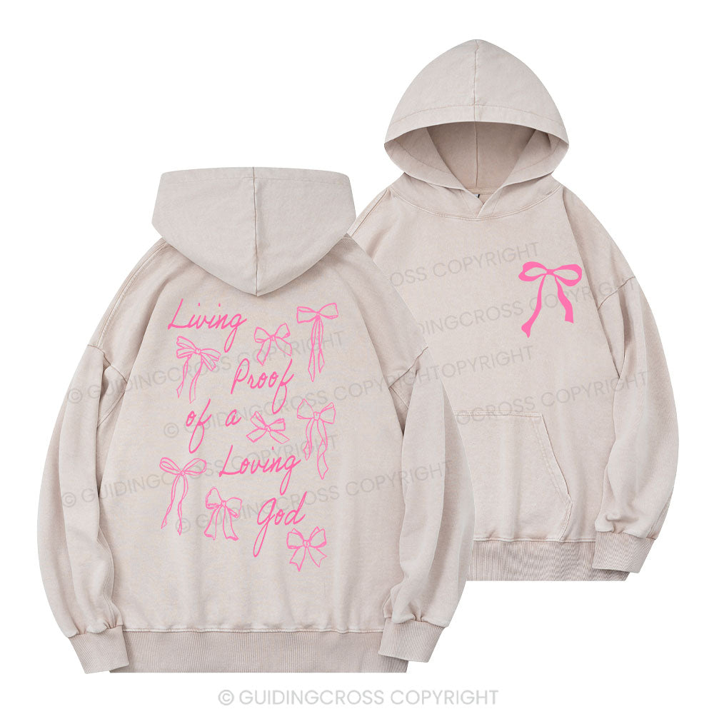 Living Proof Of A Loving God Christian Washed Hoodie