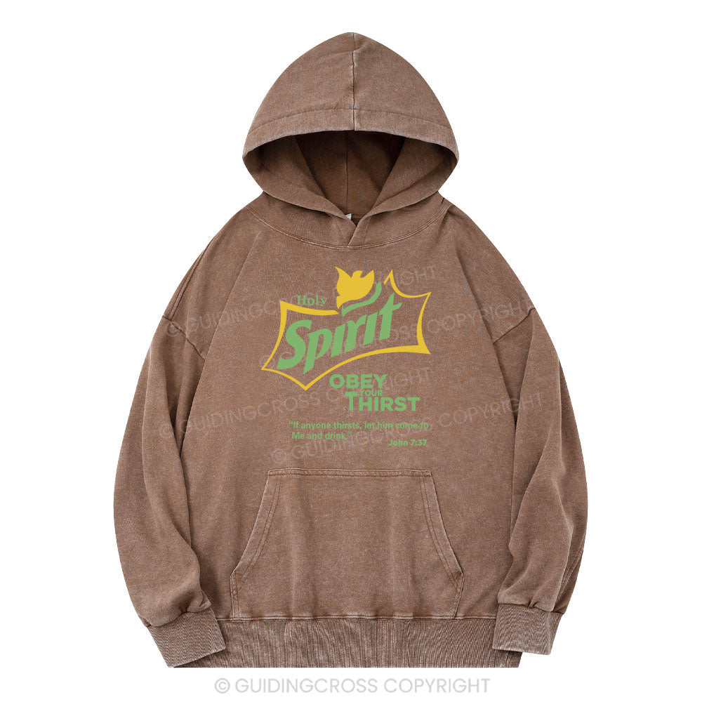 Holy Spirit Christian Washed Hoodie