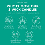 Angry Beavers Nickelodeon 3-Wick Candle