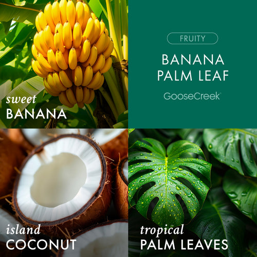 Banana Palm Leaf 3-Wick Candle