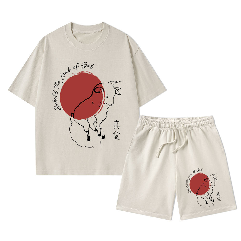 Behold The Lamb Of God Christian Washed T-Shirt & Shorts