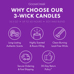 Blueberry Funnel Cake 3-Wick Candle