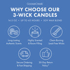 Cabana Crush 3-Wick Candle