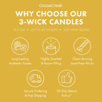 Catdog Nickelodeon 3-Wick Candle