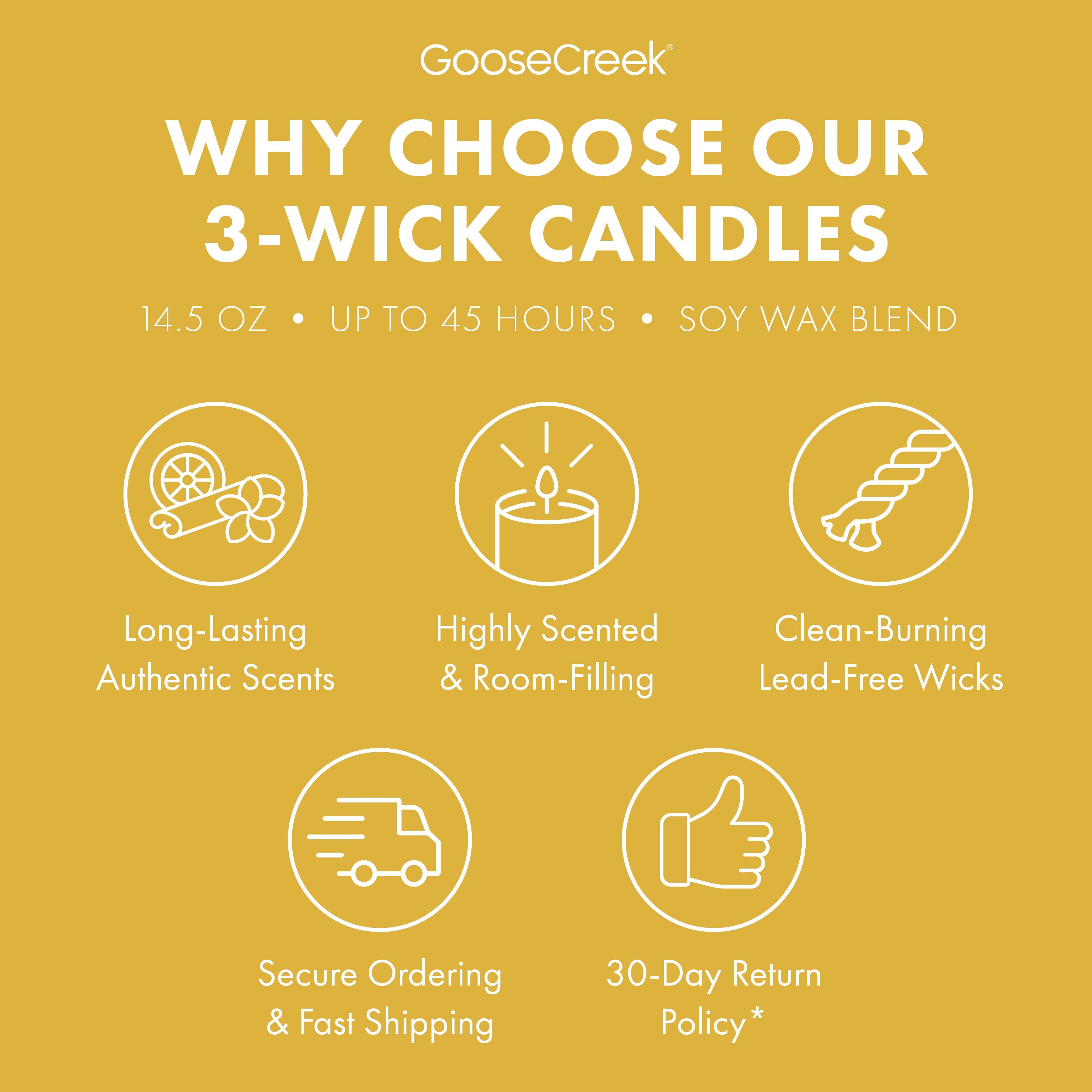 Catdog Nickelodeon 3-Wick Candle