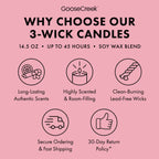 Champagne Bubbles 3-Wick Candle