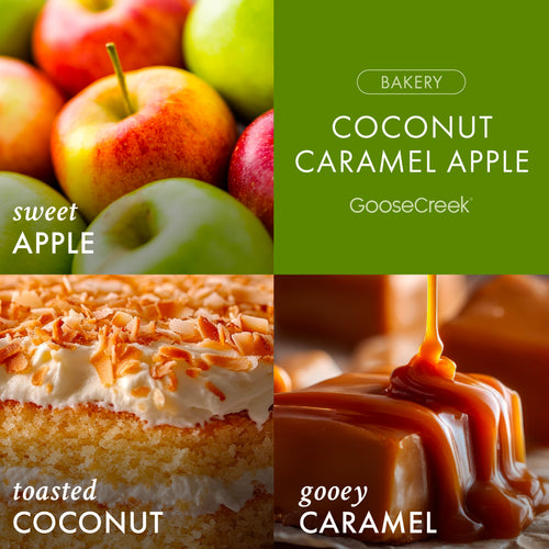 Coconut Caramel Apple 3-Wick Candle