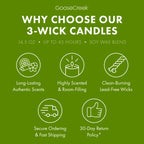 Coconut Caramel Apple 3-Wick Candle