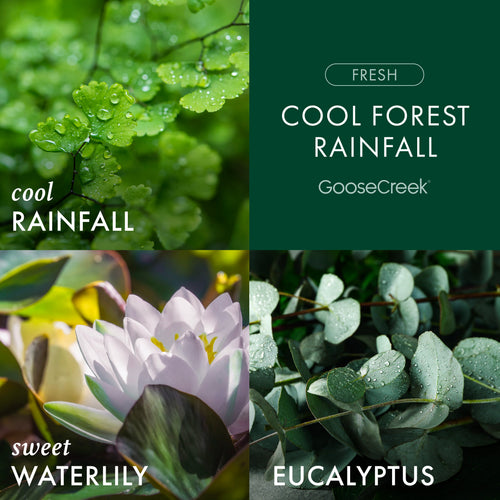 Cool Forest Rainfall 3-Wick Candle