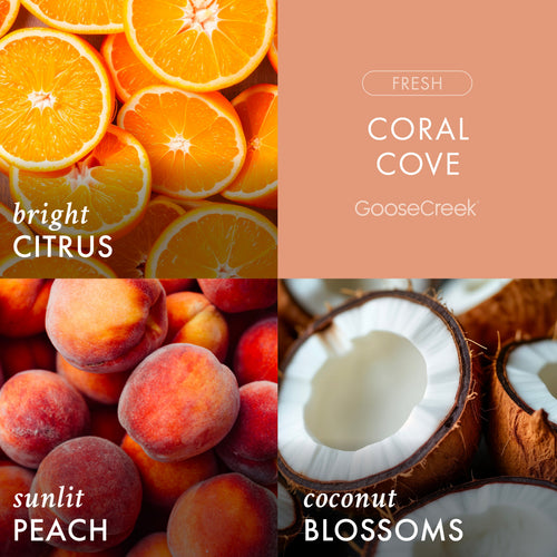 Coral Cove 3-Wick Candle