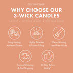 Coral Cove 3-Wick Candle