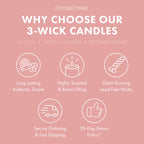 Dragonfruit Splash 3-Wick Candle