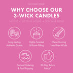 Dragonfruit Splash Odor Eliminating 3-Wick Candle