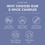 Fairly Odd Parents Nickelodeon 3-Wick Candle