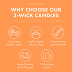 Farmstand Melon 3-Wick Candle
