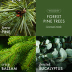 Forest Pine Trees 3-Wick Candle