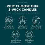 Forest Pine Trees 3-Wick Candle