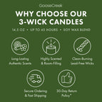 Forest Pine Trees 3-Wick Candle