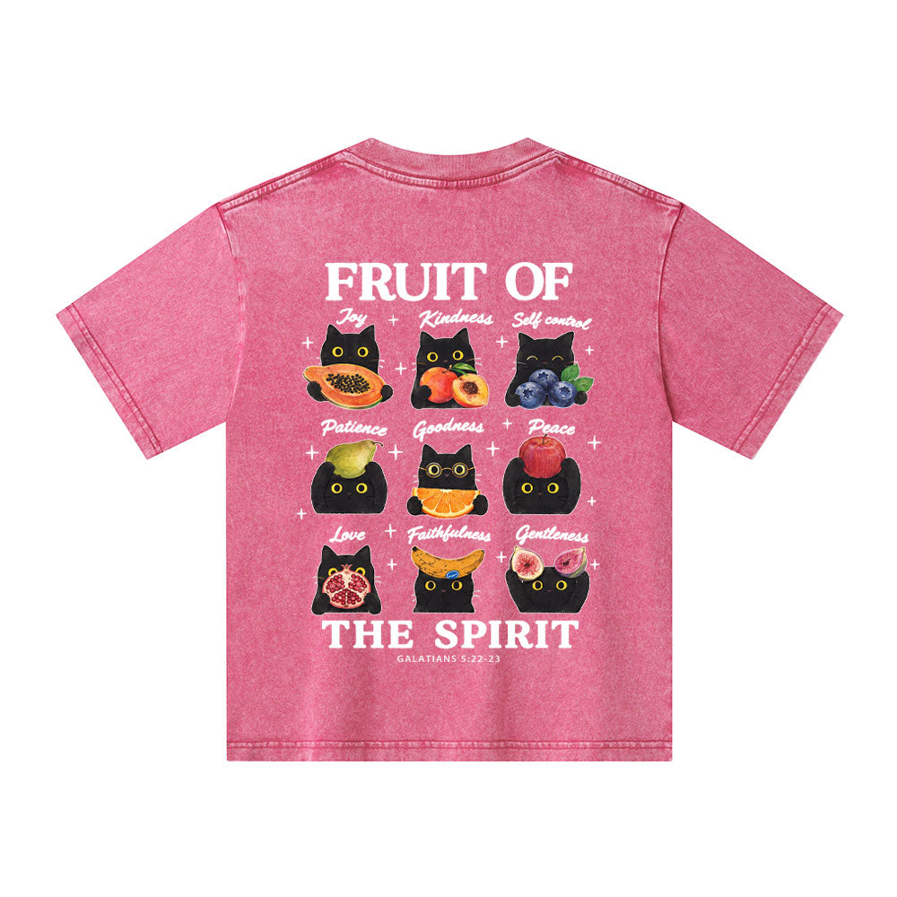 Fruit Of The Spirit Christian Washed T-Shirt