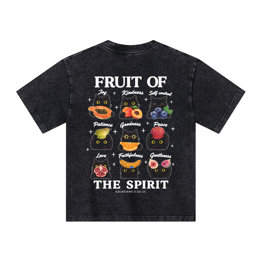 Fruit Of The Spirit Christian Washed T-Shirt