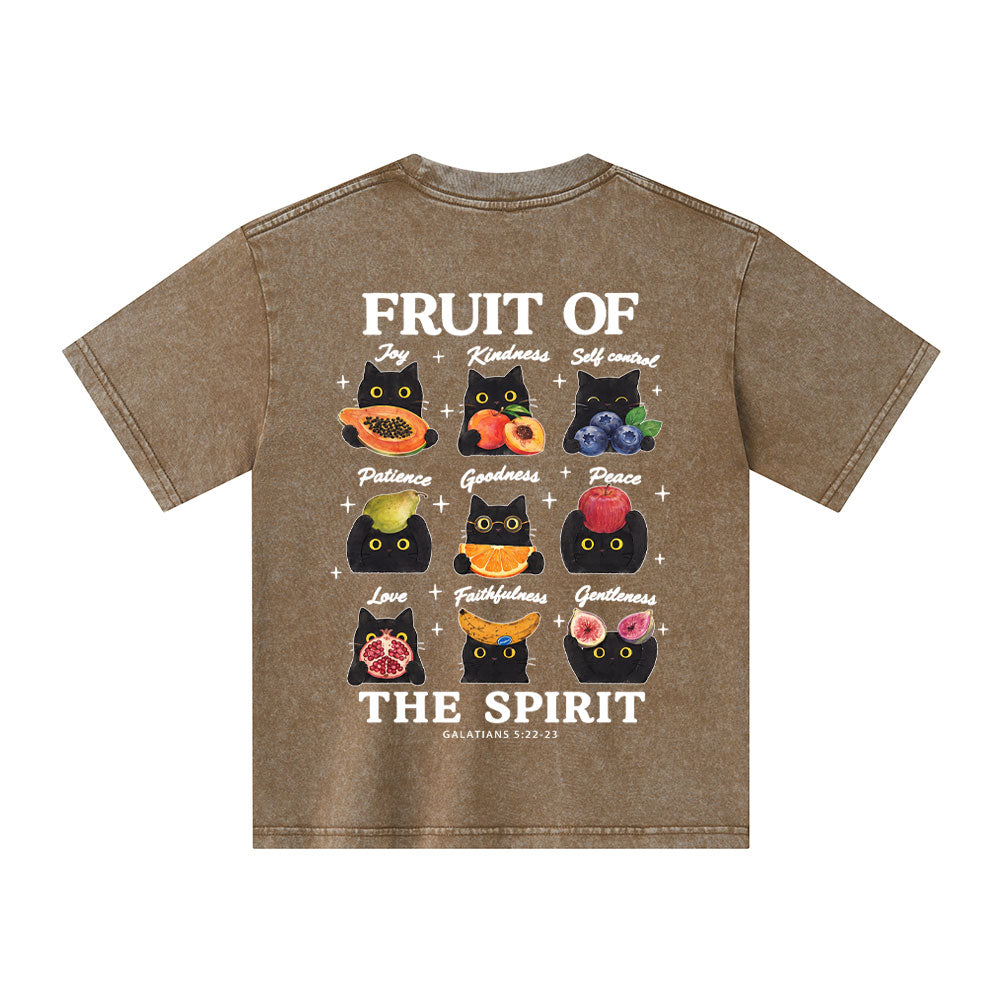 Fruit Of The Spirit Christian Washed T-Shirt