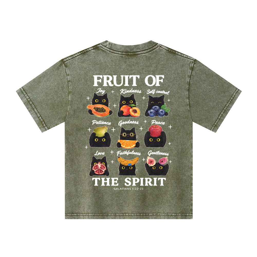 Fruit Of The Spirit Christian Washed T-Shirt