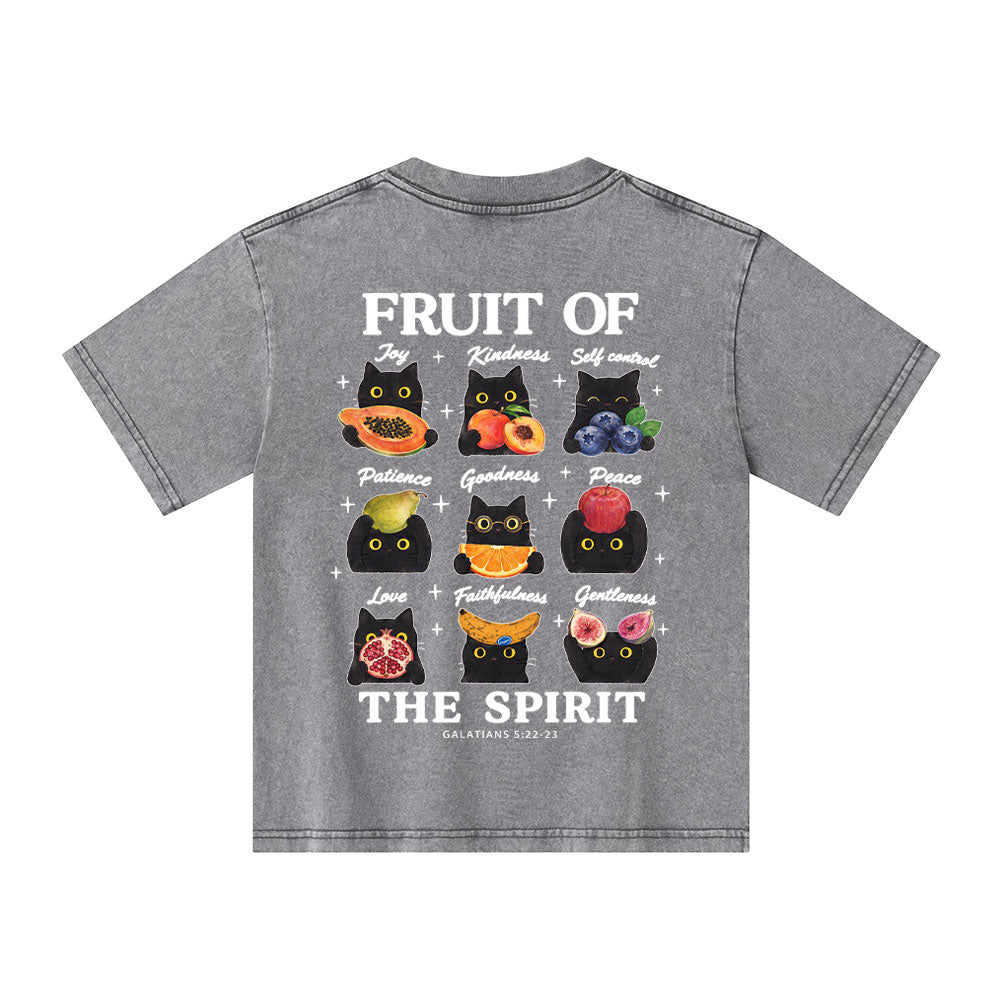 Fruit Of The Spirit Christian Washed T-Shirt