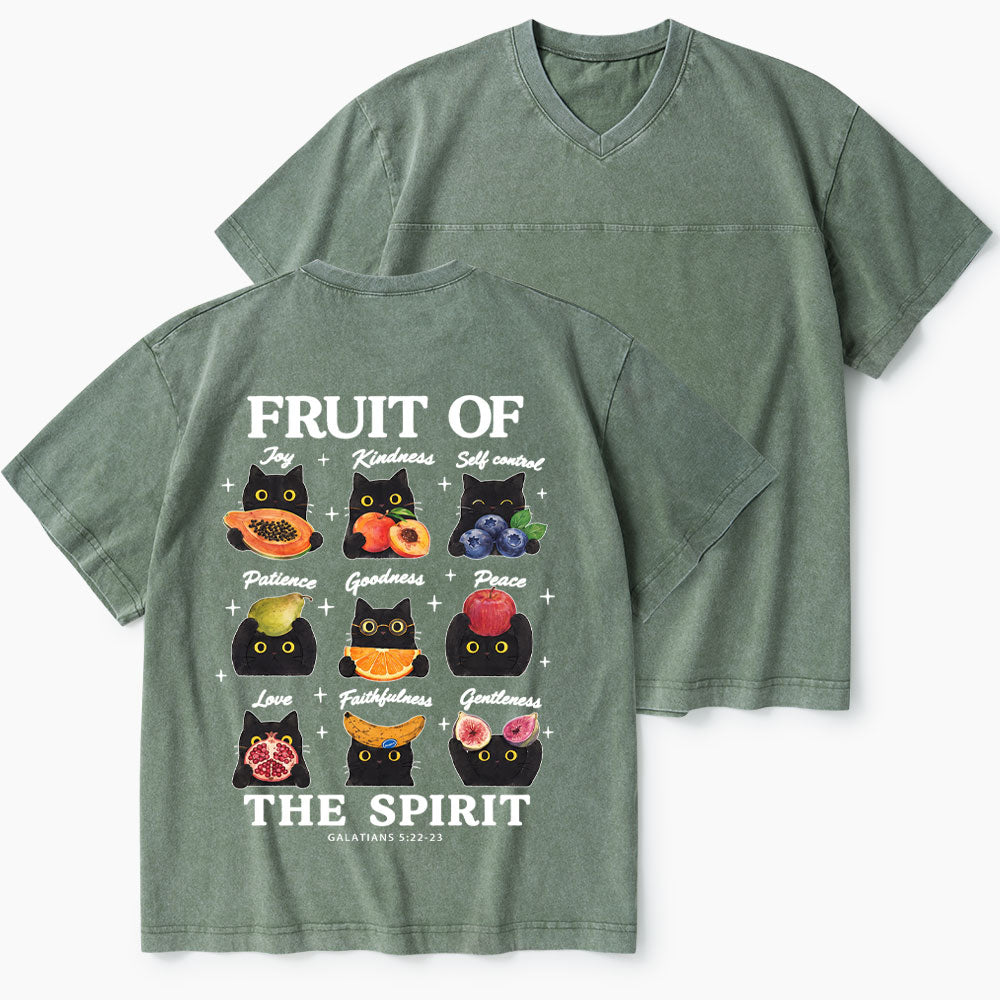 Fruit Of The Spirit Christian Washed V-Neck T-Shirt