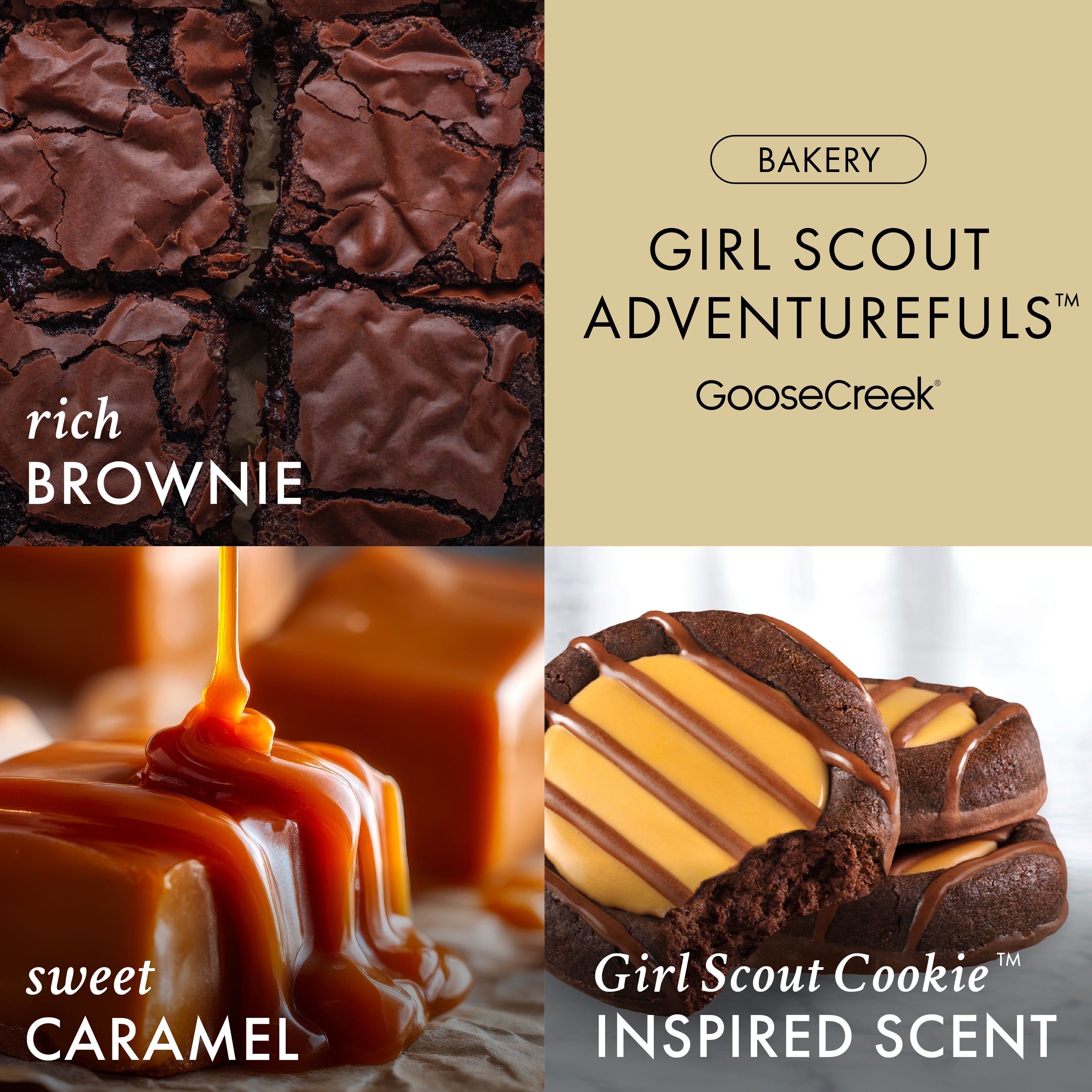 Girl Scout Adventurefuls? 3-Wick Candle