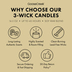 Girl Scout Adventurefuls? 3-Wick Candle