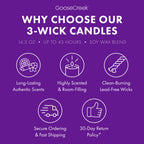 Girl Scout Coconut Caramel 3-Wick Candle