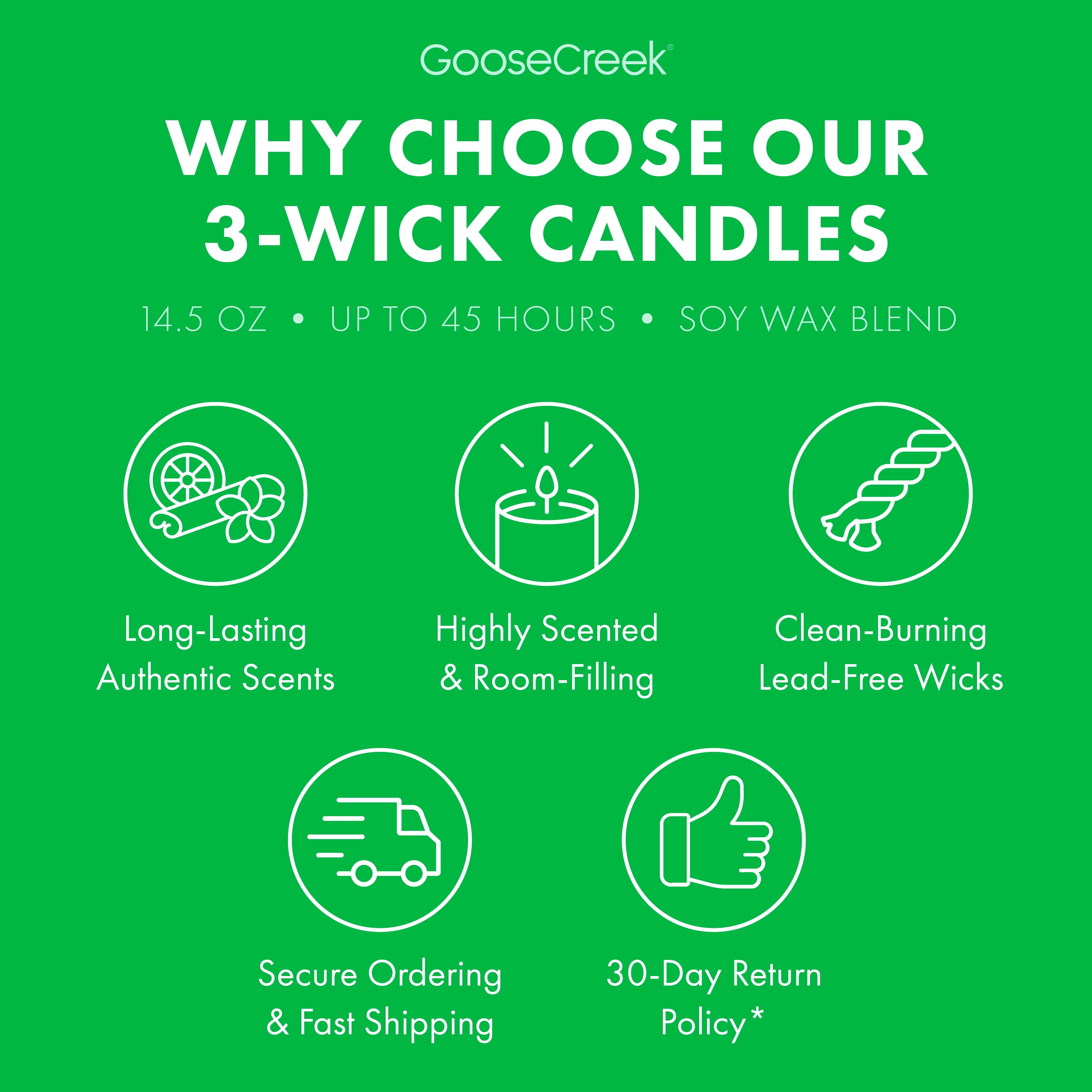 Girl Scout Thin Mint? 3-Wick Candle