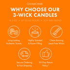 Girl Scouts Peanut Butter 3-Wick Candle