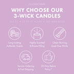 Grape Soda 3-Wick Candle