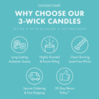 Hey Arnold Nickelodeon 3-Wick Candle
