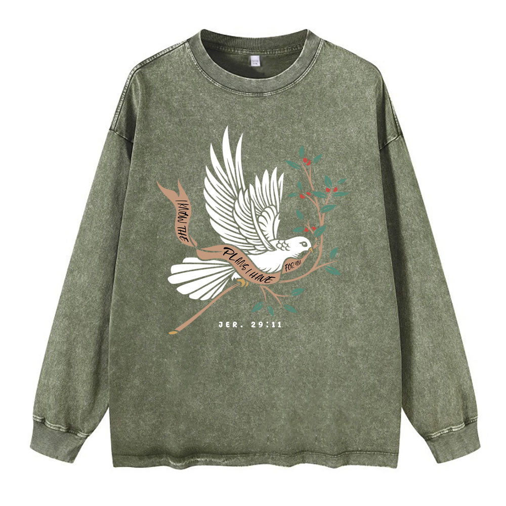 I Know The Plans I Have For You Washed Long Sleeve T-Shirt