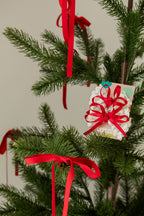 Darling Bow 2-Pack