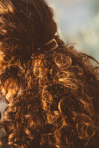 Glossy Barrette