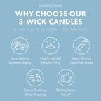 Island Hideaway 3-Wick Candle