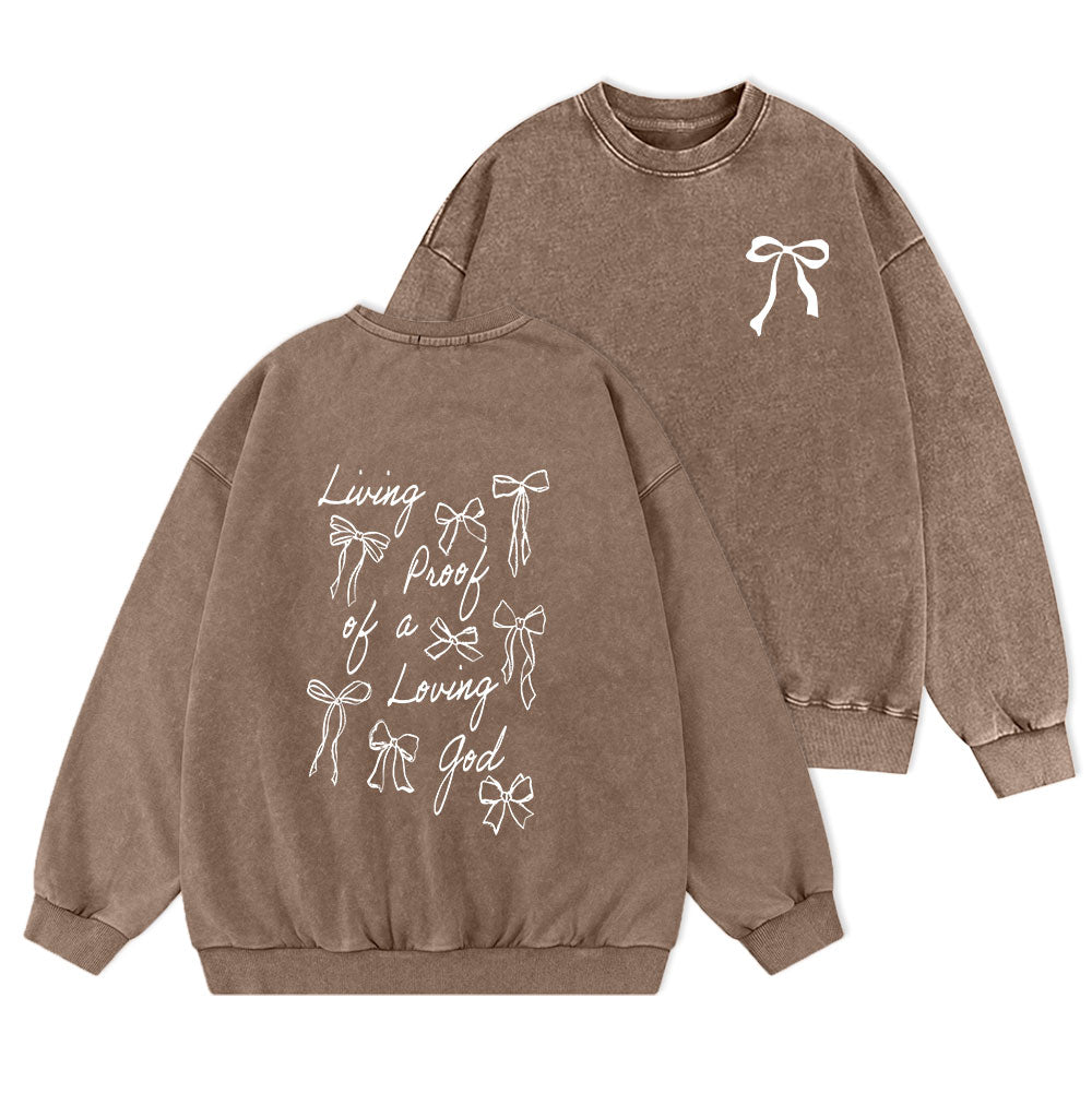 Living Proof Of A Loving God Christian Washed Sweatshirt
