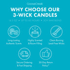 Lush Lagoon 3-Wick Candle