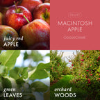 Macintosh Apple 3-Wick Candle