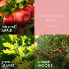 Macintosh Apple 3-Wick Candle