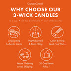 Nickelodeon 3-Wick Candle