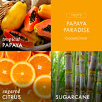 Papaya Paradise 3-Wick Candle
